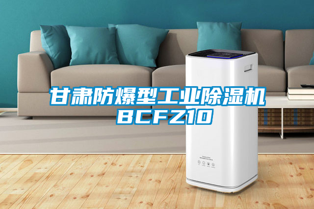 甘肃防爆型工业好色先生污污版 BCFZ10