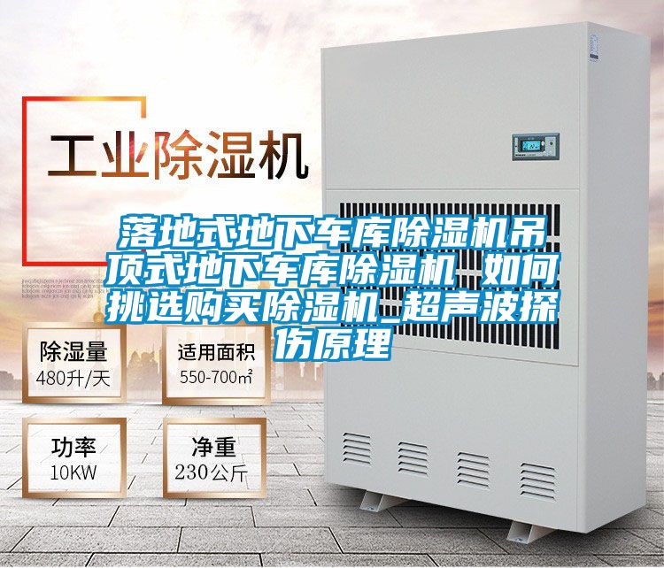 落地式地下车库好色先生污污版吊顶式地下车库好色先生污污版 如何挑选购买好色先生污污版_超声波探伤原理