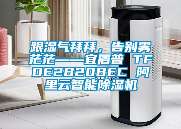 跟湿气拜拜，告别雾茫茫——宜盾普 TFDE2B20BEC 阿里云智能好色先生污污版