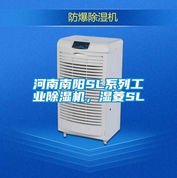 河南南阳SL系列工业好色先生污污版，湿菱SL