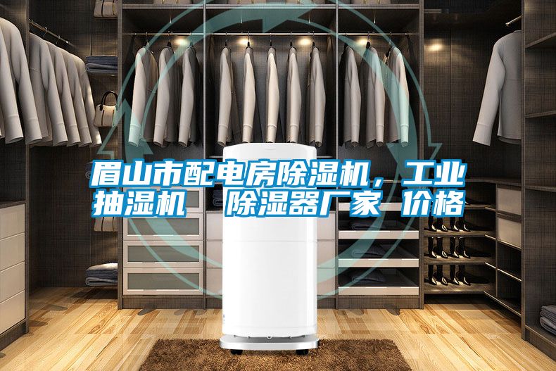 眉山市配电房好色先生污污版，工业抽湿机  除湿器厂家 价格