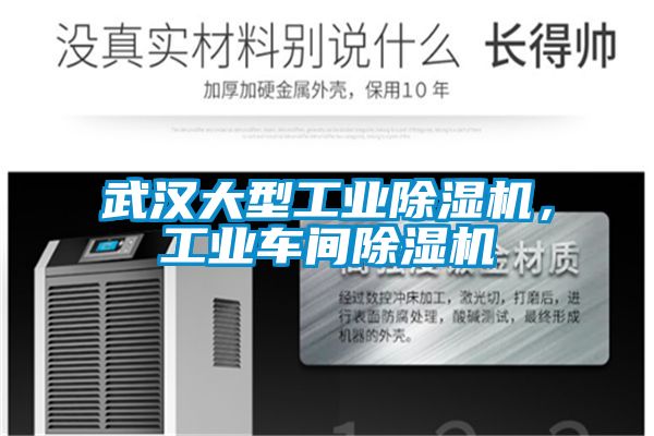 武汉大型工业好色先生污污版，工业车间好色先生污污版