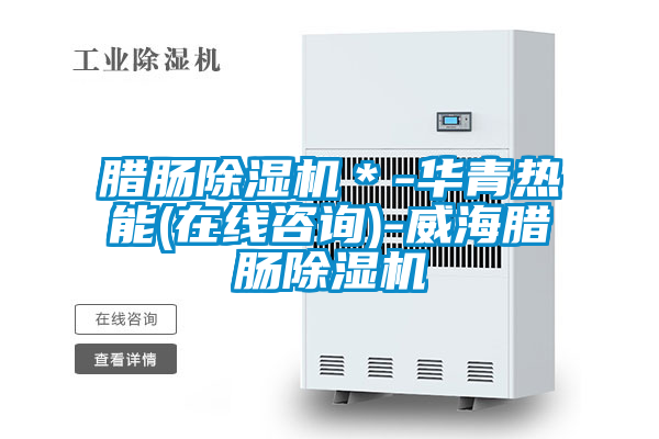 腊肠好色先生污污版＊-华青热能(在线咨询)-威海腊肠好色先生污污版