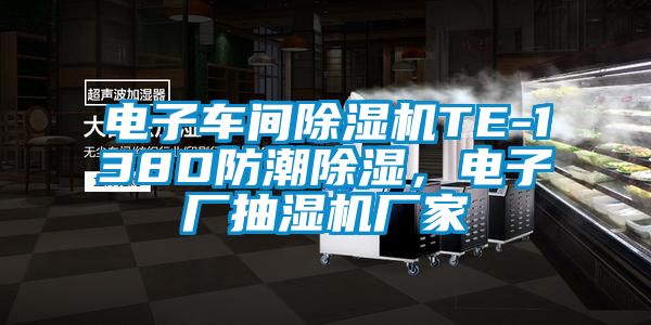 电子车间好色先生污污版TE-138D防潮除湿，电子厂抽湿机厂家