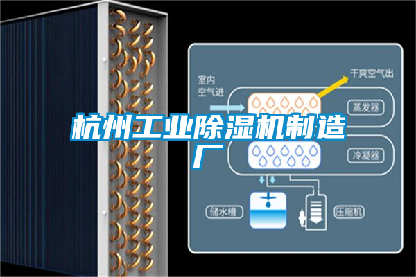 杭州工业好色先生污污版制造厂