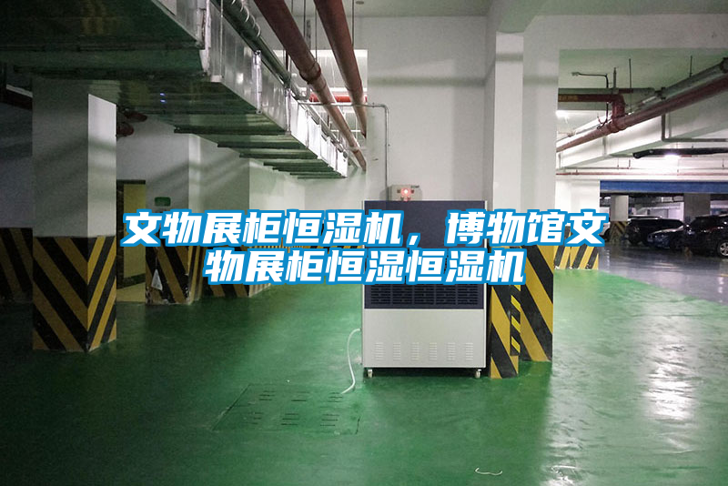 文物展柜恒湿机，博物馆文物展柜恒湿恒湿机