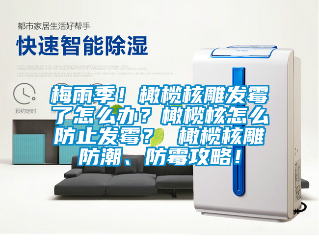 梅雨季！橄榄核雕发霉了怎么办？橄榄核怎么防止发霉？ 橄榄核雕防潮、防霉攻略！