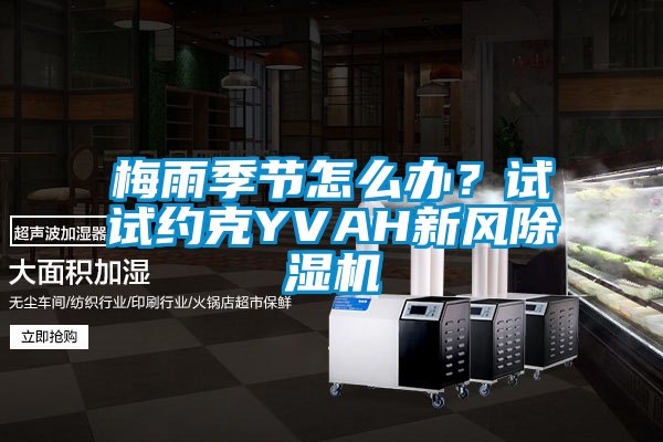 梅雨季节怎么办？试试约克YVAH新风好色先生污污版