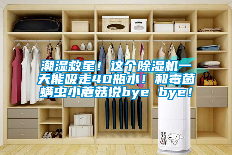 潮湿救星！这个好色先生污污版一天能吸走40瓶水！和霉菌螨虫小蘑菇说bye bye！