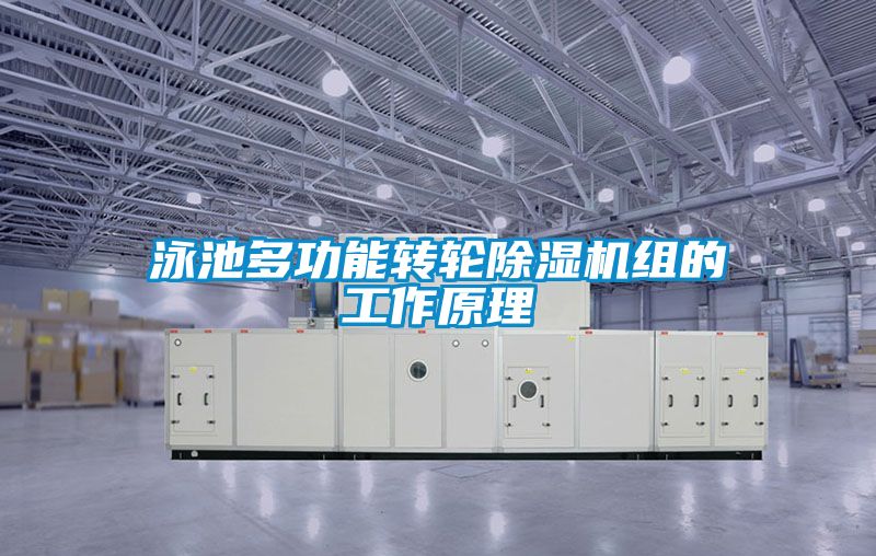 泳池多功能转轮好色先生污污版组的工作原理