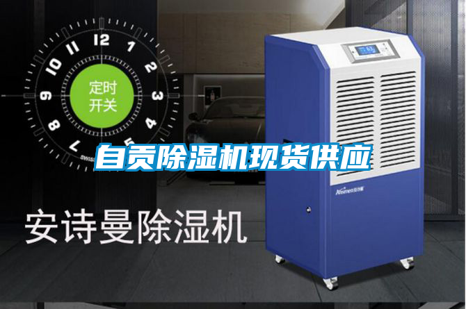 自贡好色先生污污版现货供应