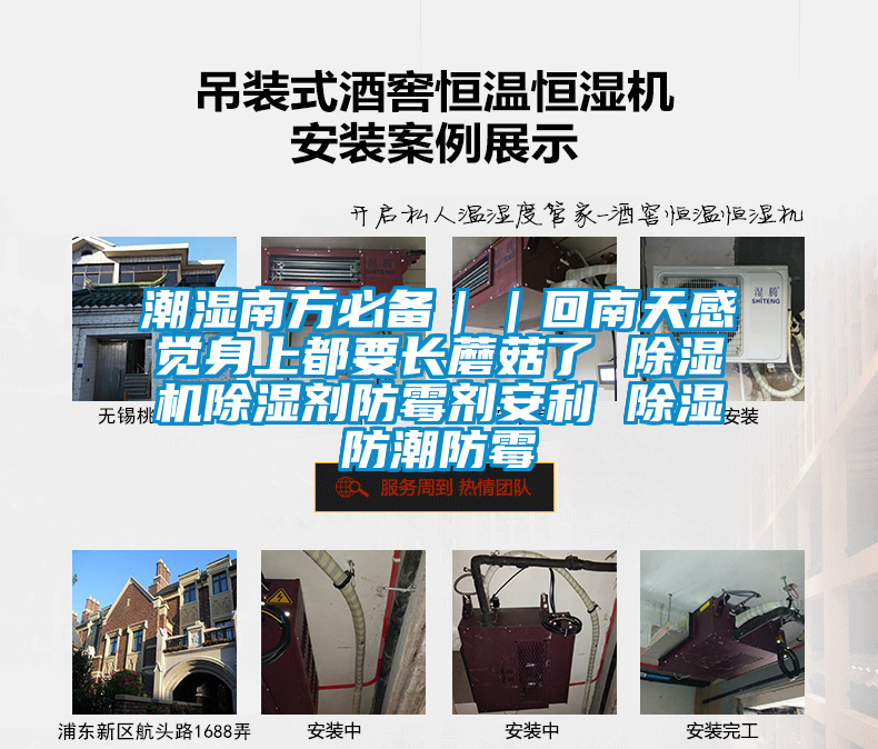 潮湿南方必备｜｜回南天感觉身上都要长蘑菇了 好色先生污污版除湿剂防霉剂安利 除湿防潮防霉