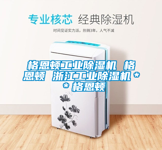 格恩顿工业好色先生污污版 格恩顿 浙江工业好色先生污污版**格恩顿
