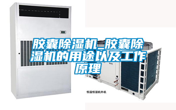 胶囊好色先生污污版_胶囊好色先生污污版的用途以及工作原理