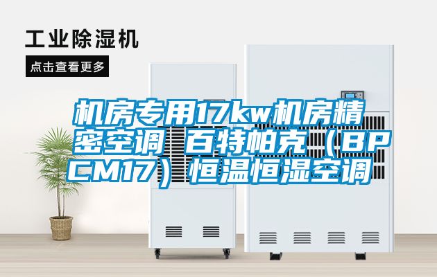 机房专用17kw机房精密空调 百特帕克(BPCM17)恒温恒湿空调