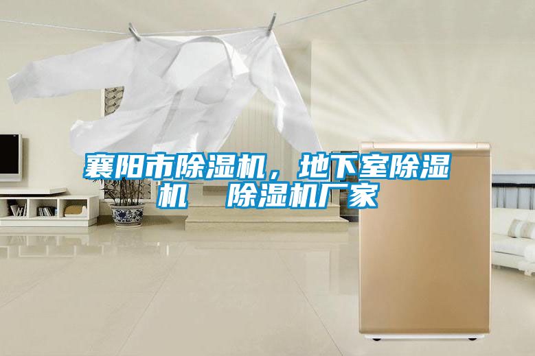 襄阳市好色先生污污版，地下室好色先生污污版  好色先生污污版厂家