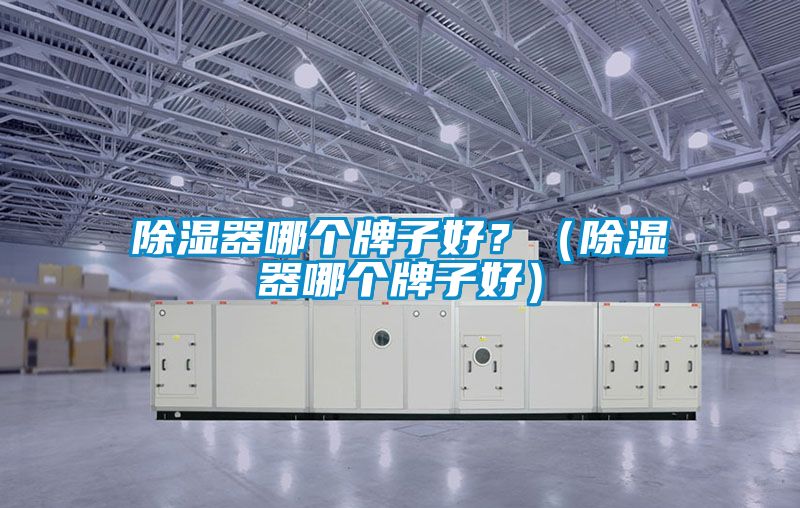 除湿器哪个牌子好？（除湿器哪个牌子好）