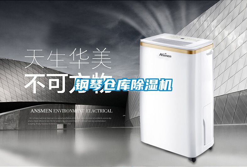 钢琴仓库好色先生污污版