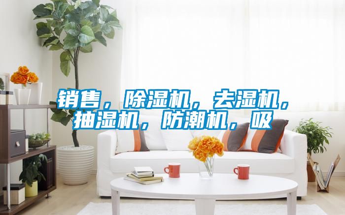 销售，好色先生污污版，去湿机，抽湿机，防潮机，吸