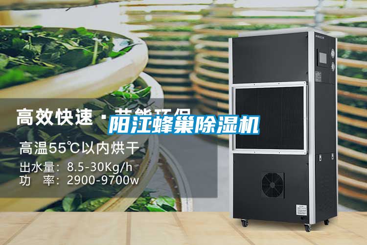 阳江蜂巢好色先生污污版