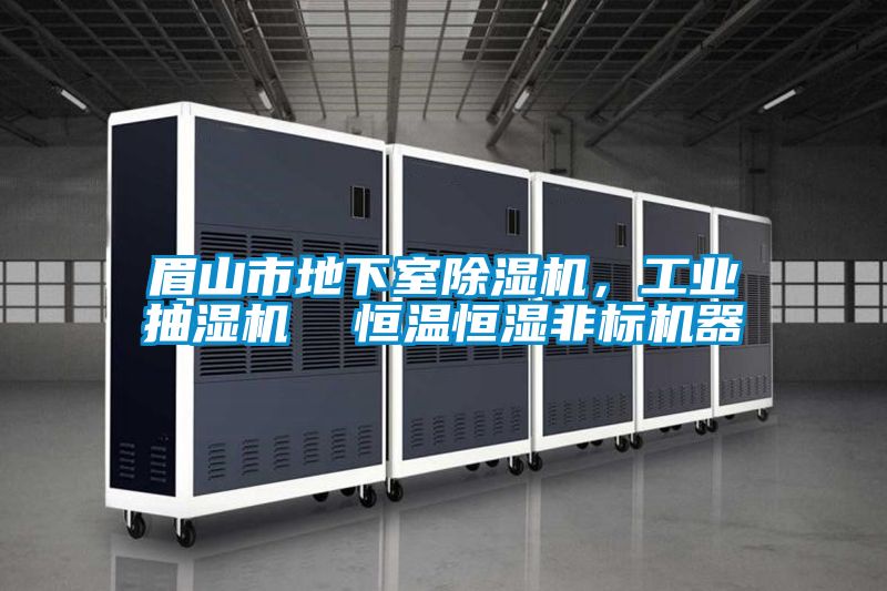 眉山市地下室好色先生污污版，工业抽湿机  恒温恒湿非标机器