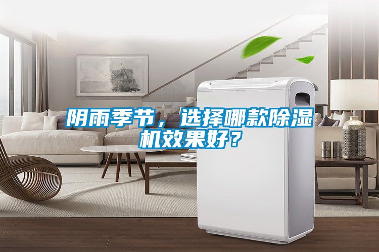 阴雨季节，选择哪款好色先生污污版效果好？