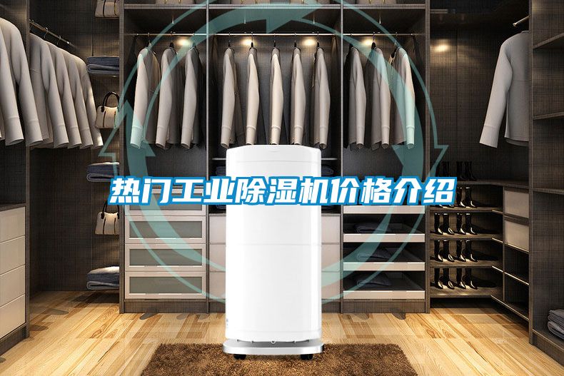 热门工业好色先生污污版价格介绍