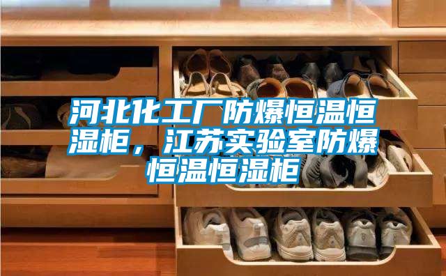 河北化工厂防爆恒温恒湿柜，江苏实验室防爆恒温恒湿柜