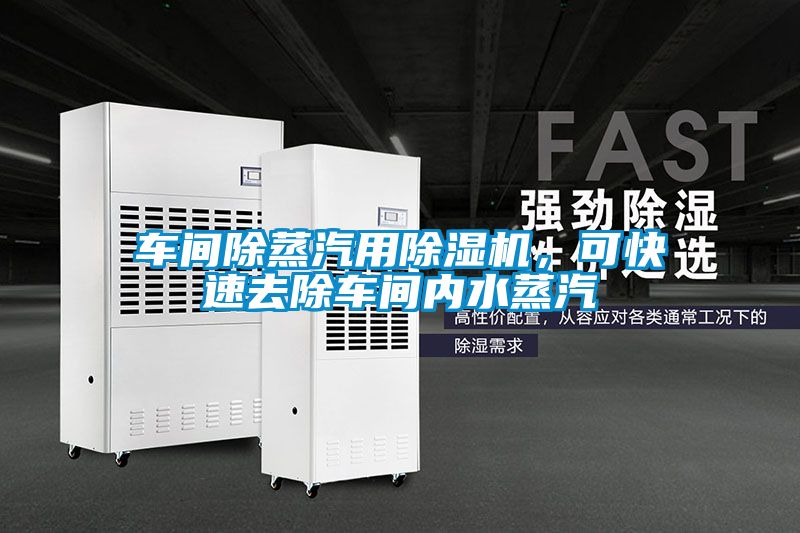 车间除蒸汽用好色先生污污版，可快速去除车间内水蒸汽