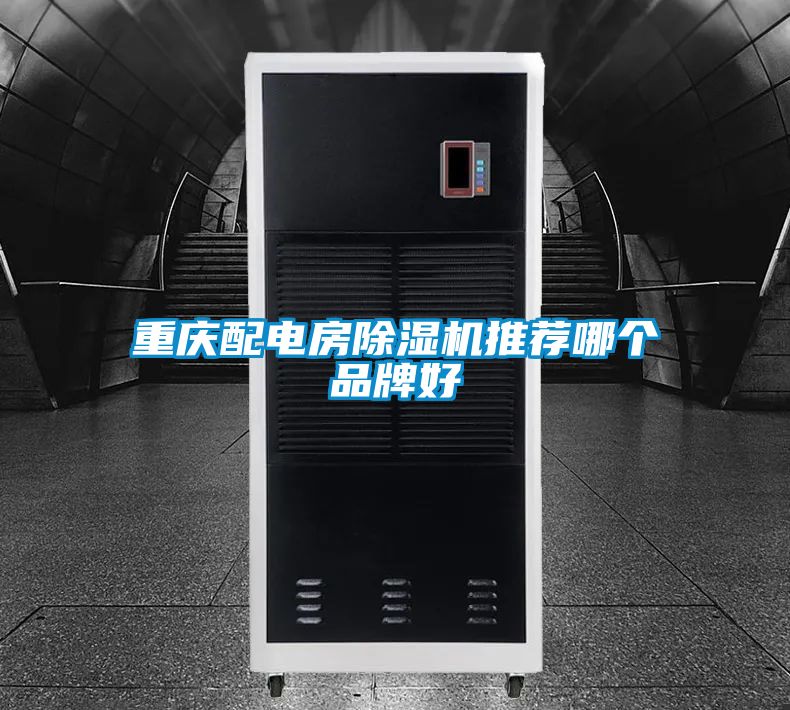 重庆配电房好色先生污污版推荐哪个品牌好