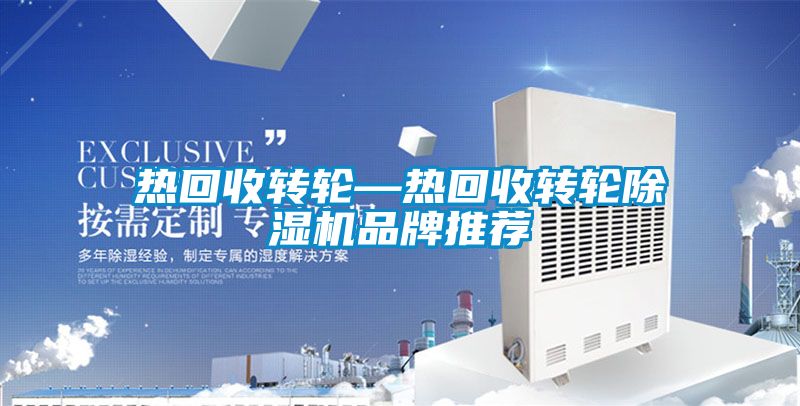 热回收转轮—热回收转轮好色先生污污版品牌推荐