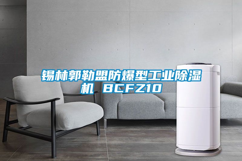 锡林郭勒盟防爆型工业好色先生污污版 BCFZ10