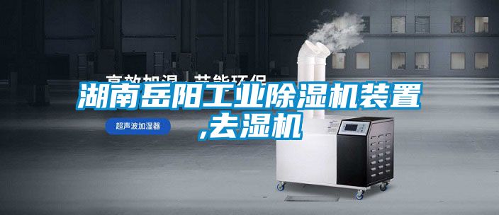 湖南岳阳工业好色先生污污版装置,去湿机