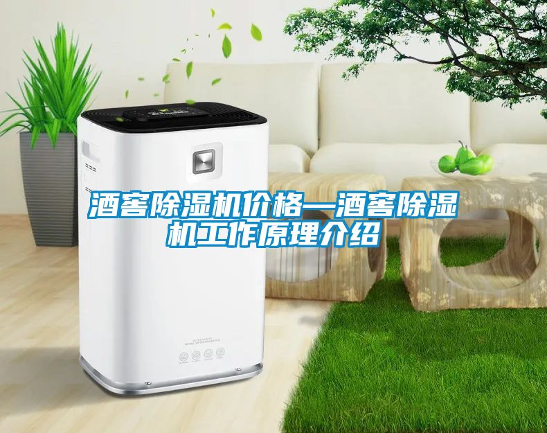 酒窖好色先生污污版价格—酒窖好色先生污污版工作原理介绍