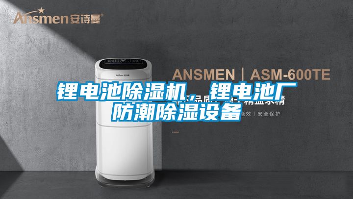 锂电池好色先生污污版，锂电池厂防潮除湿设备