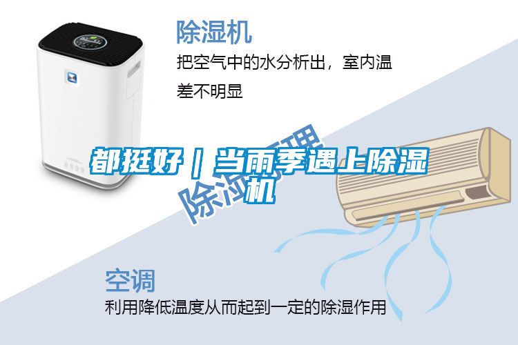 都挺好|当雨季遇上好色先生污污版