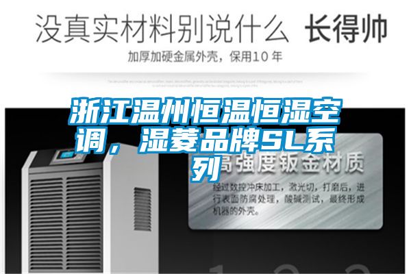 浙江温州恒温恒湿空调，湿菱品牌SL系列