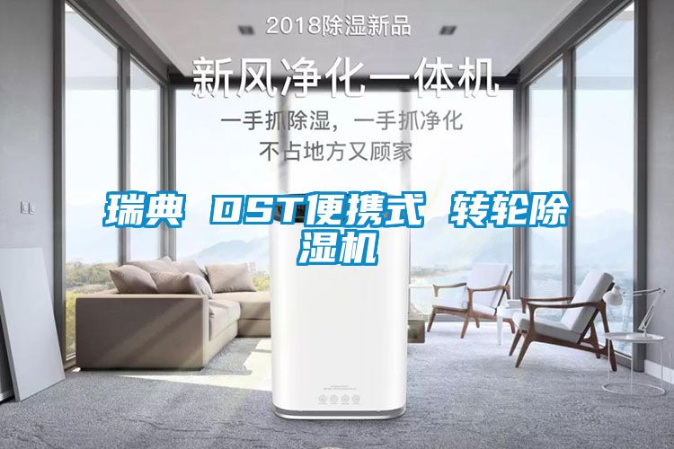 瑞典 DST便携式 转轮好色先生污污版