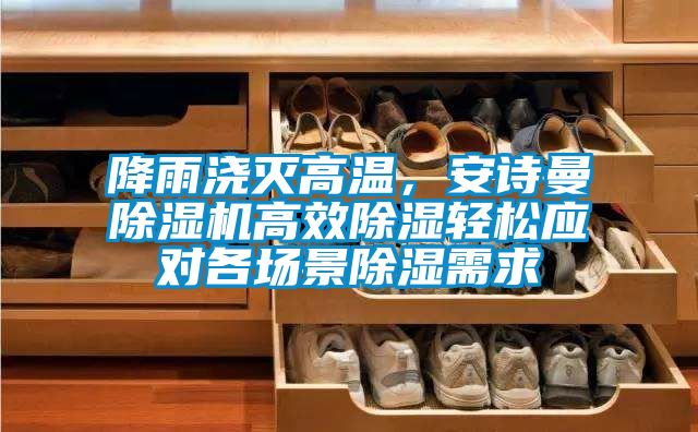 降雨浇灭高温，好色直播下载好色先生污污版高效除湿轻松应对各场景除湿需求