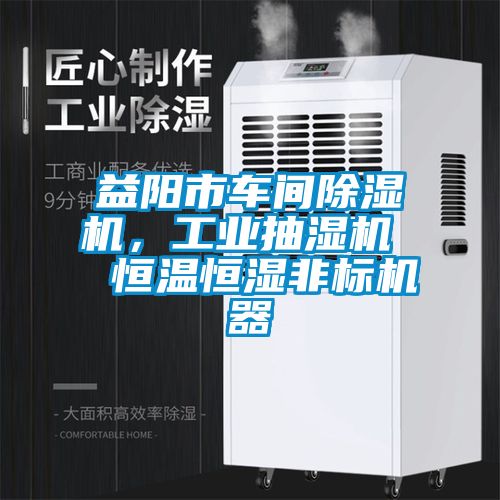 益阳市车间好色先生污污版，工业抽湿机  恒温恒湿非标机器