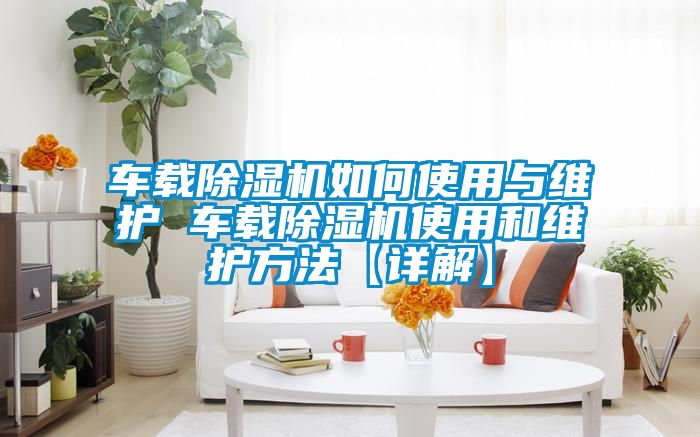 车载好色先生污污版如何使用与维护 车载好色先生污污版使用和维护方法【详解】