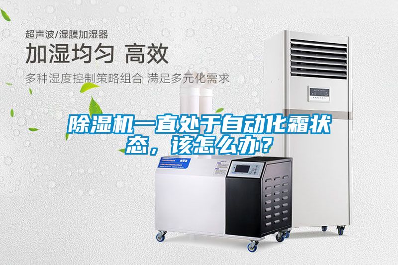 好色先生污污版一直处于自动化霜状态，该怎么办？