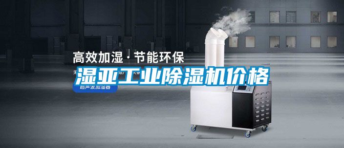 湿亚工业好色先生污污版价格