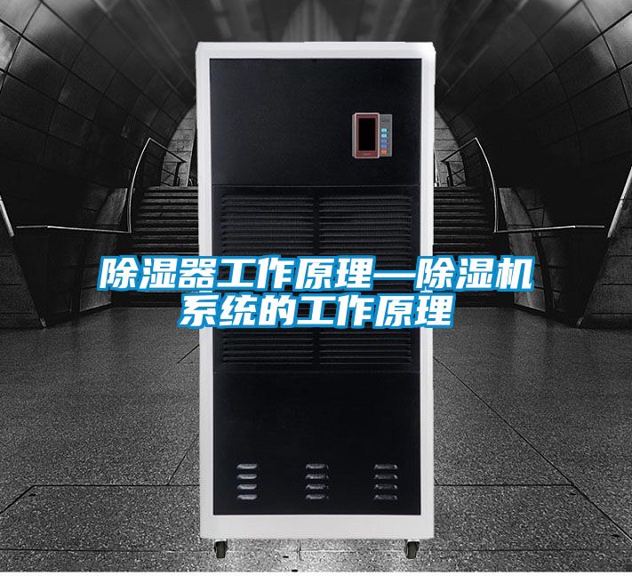 除湿器工作原理—好色先生污污版系统的工作原理