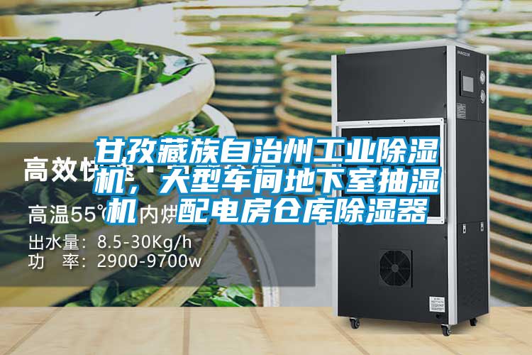 甘孜藏族自治州工业好色先生污污版，大型车间地下室抽湿机  配电房仓库除湿器