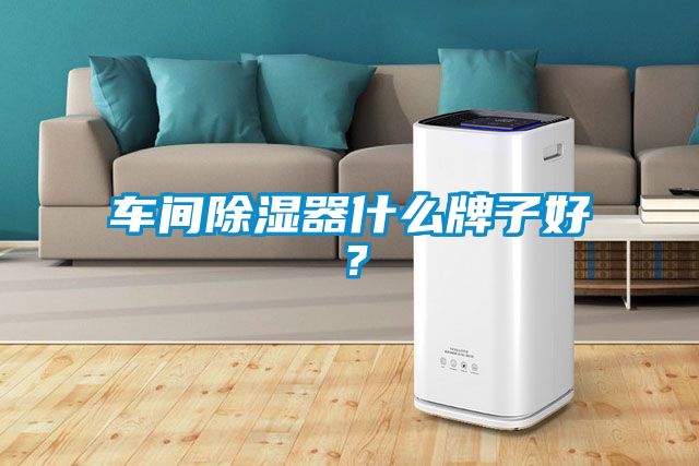 车间除湿器什么牌子好？