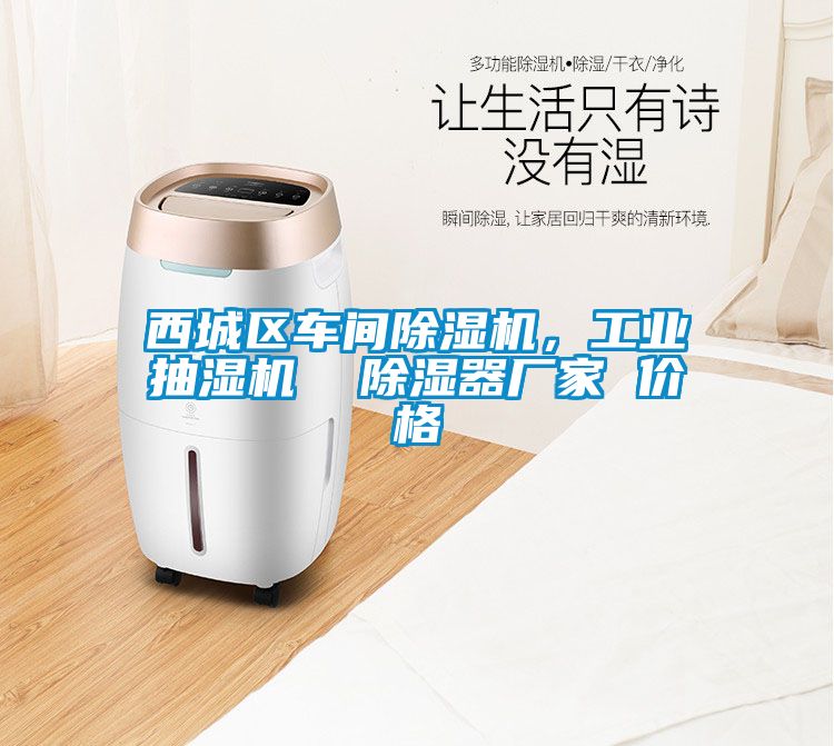 西城区车间好色先生污污版，工业抽湿机  除湿器厂家 价格