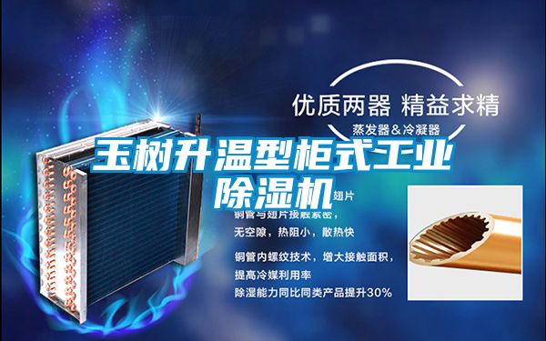 玉树升温型柜式工业好色先生污污版