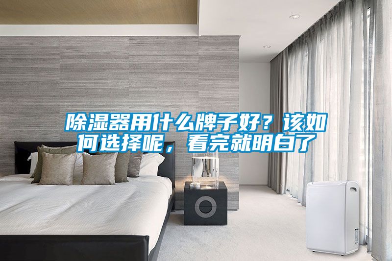 除湿器用什么牌子好？该如何选择呢，看完就明白了