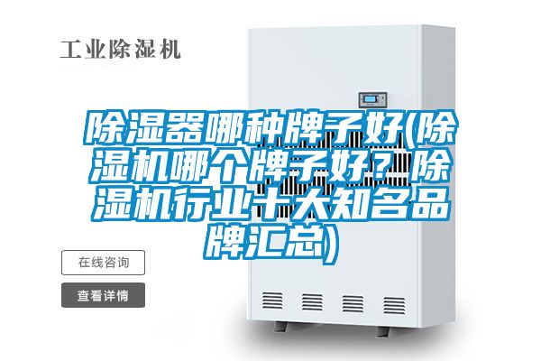 除湿器哪种牌子好(好色先生污污版哪个牌子好？好色先生污污版行业十大知名品牌汇总)